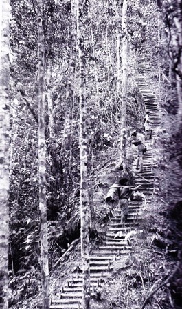 Golden stairs